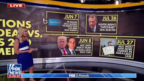 Timing of Trump indictments, Hunter Biden revelations raises eyebrows: 'Is this a coincidence?'