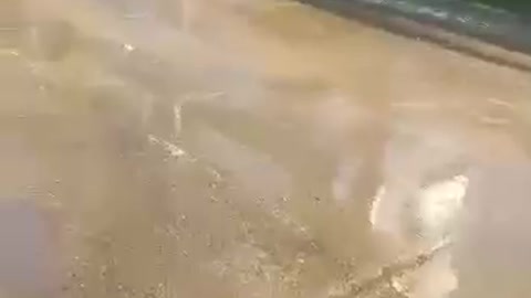 Por rotura de tubo, agua se derrama a chorros en Castillogrande