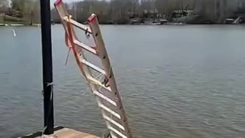 Falling of a ladder a little bit