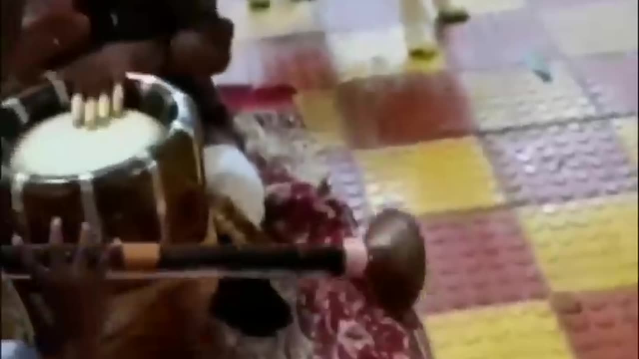 Funny animals 😄 funny animals 🤣 funny animals dancing 💃
