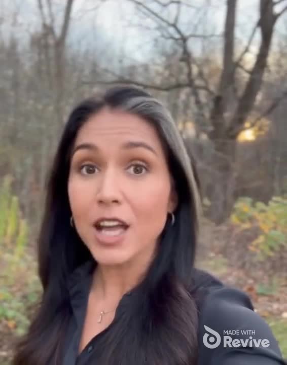 Tulsi on 2nd Amendment