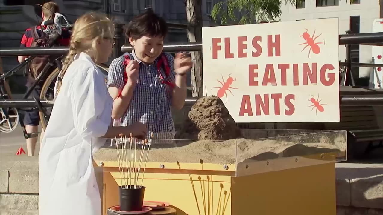 Flesh Eating Ant Prank _ Just For Laughs Gags