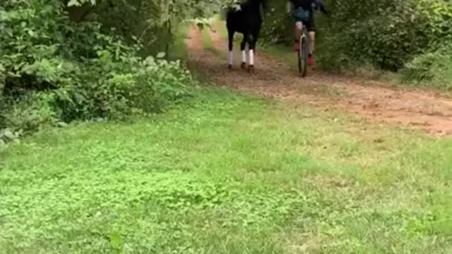 Man Unicyles Through Forest With Pet Bird And Horse