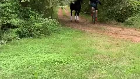 Man Unicyles Through Forest With Pet Bird And Horse