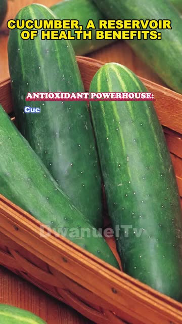 health #nature #cucumber #food #foryou #india #chinese #russia #news #history #drink #drawing