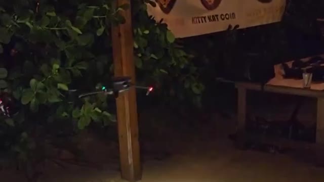 More #KittyKatCoin events in #Miami 😎