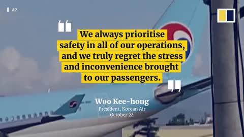 Korean Air plane with 173 on board damaged after overshooting runway in Philippines