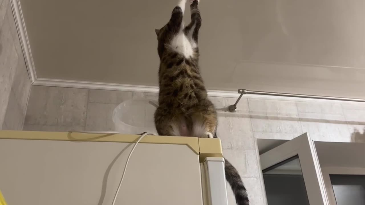 Not Sure About this Electrician || Viral Verse