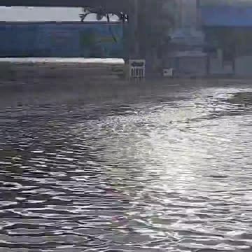 Naples, Florida | Stay Safe Frens