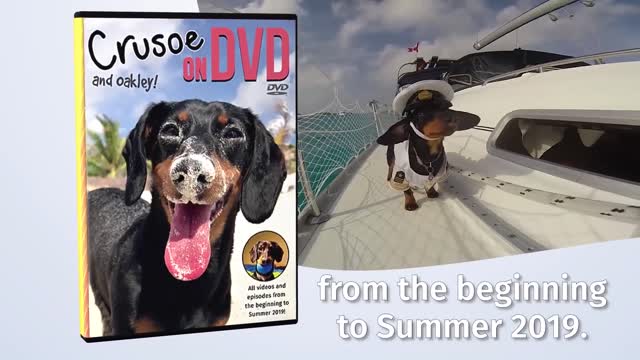 Presenting.. Crusoe on DVD!! 😛