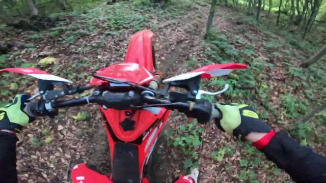 BETA RR300 VS EXTREME ENDURO TRAINING