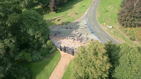 Aerial of Sandringham Flowers