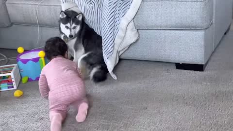 Kiddo and her Pups_1