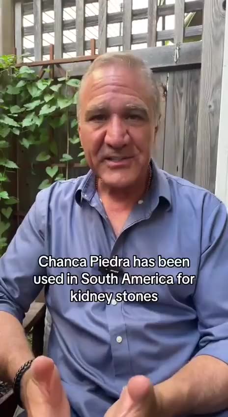 One of the best plants to help with kidney stones