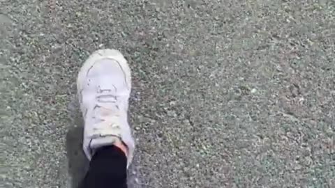 viral video