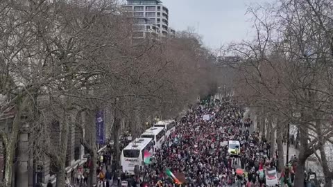 Hundreds of thousands marching for Palestine