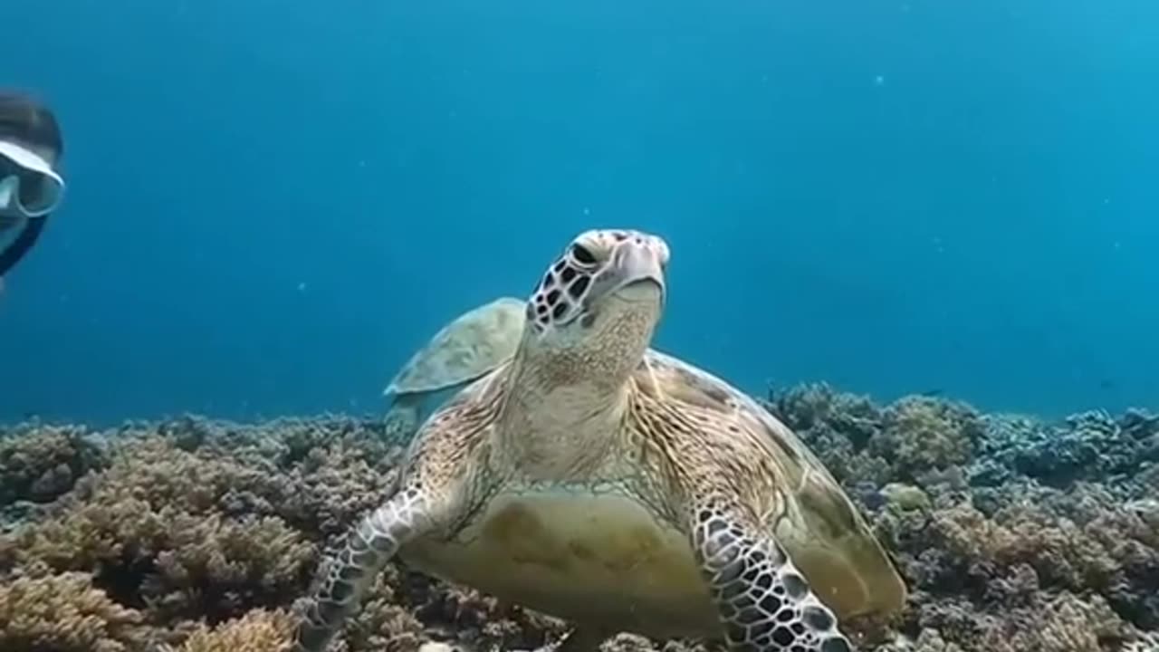 Amazing world
