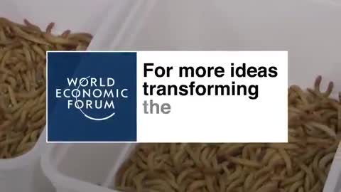 WEF