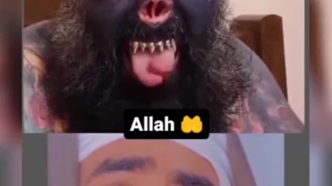 آرامش فقط الله