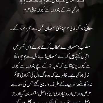 Haya nhi hai zamany ki ankh👁️👁️ mn koi