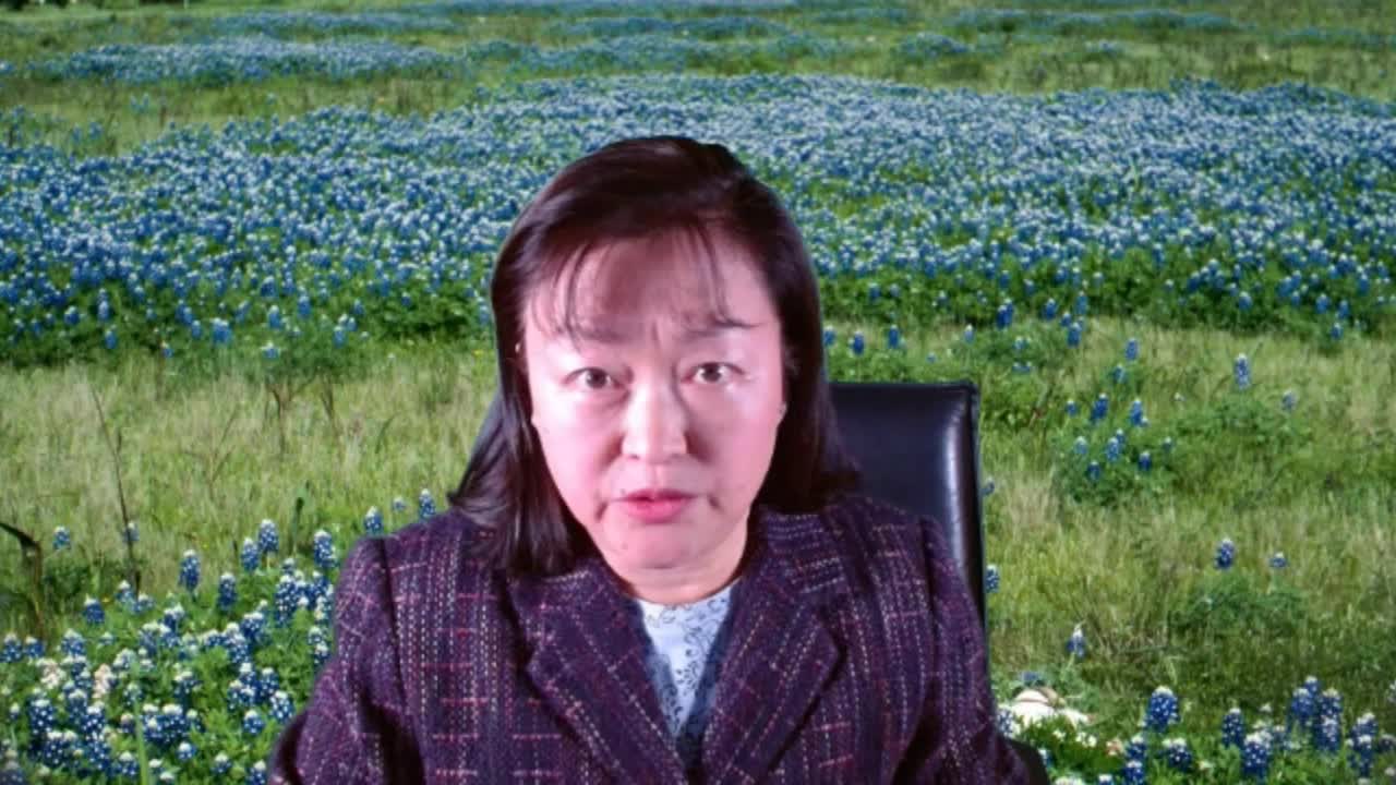 A Chinese Immigrant's Warning on Critical Race Theory
