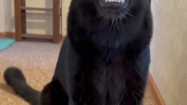 "Don't joke with me "