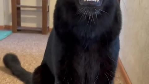 "Don't joke with me "
