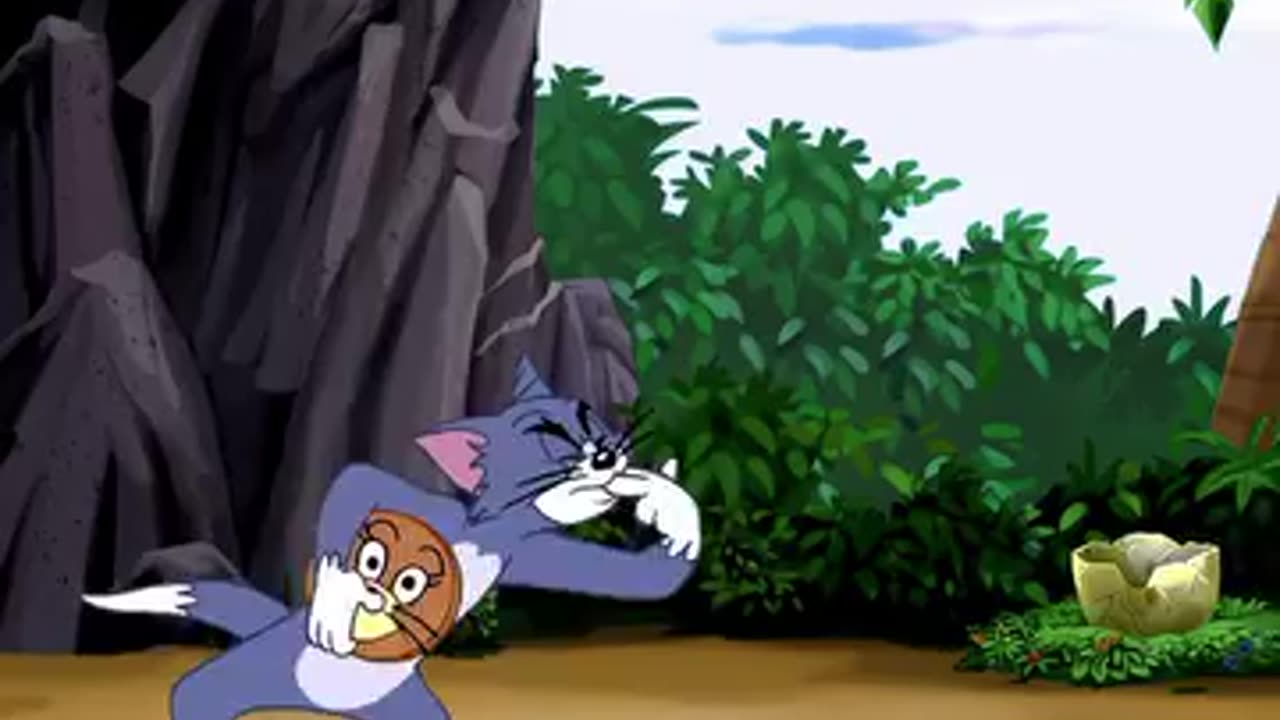 Tom and jerry