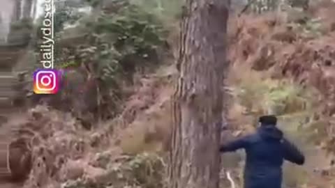 Funny videos