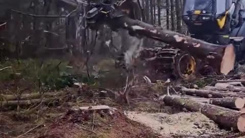 A TSUNAMI OF GENOCIDE IS COMING....