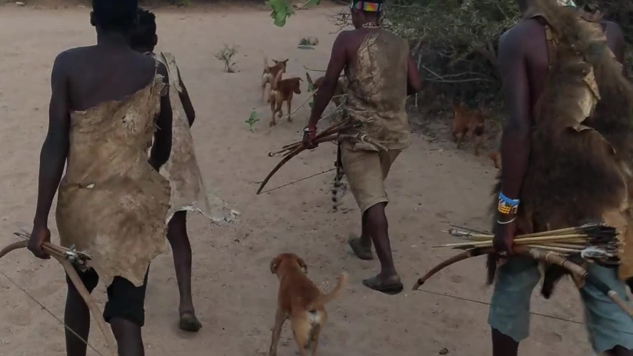 Hadzabe with their morning routine