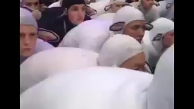 Sheepel heading for there shot