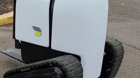 DELIVERY ROBOT ATTACKS MAN ON STREET