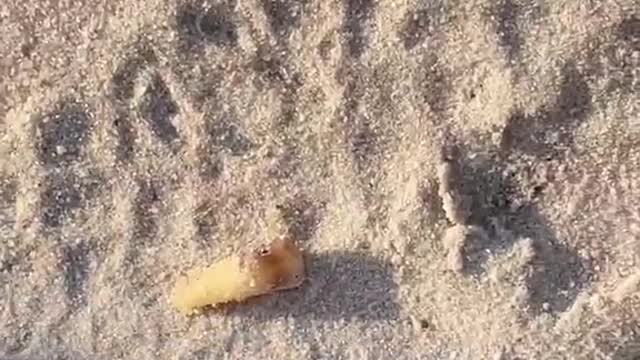 A man broken his teeth by tabuk