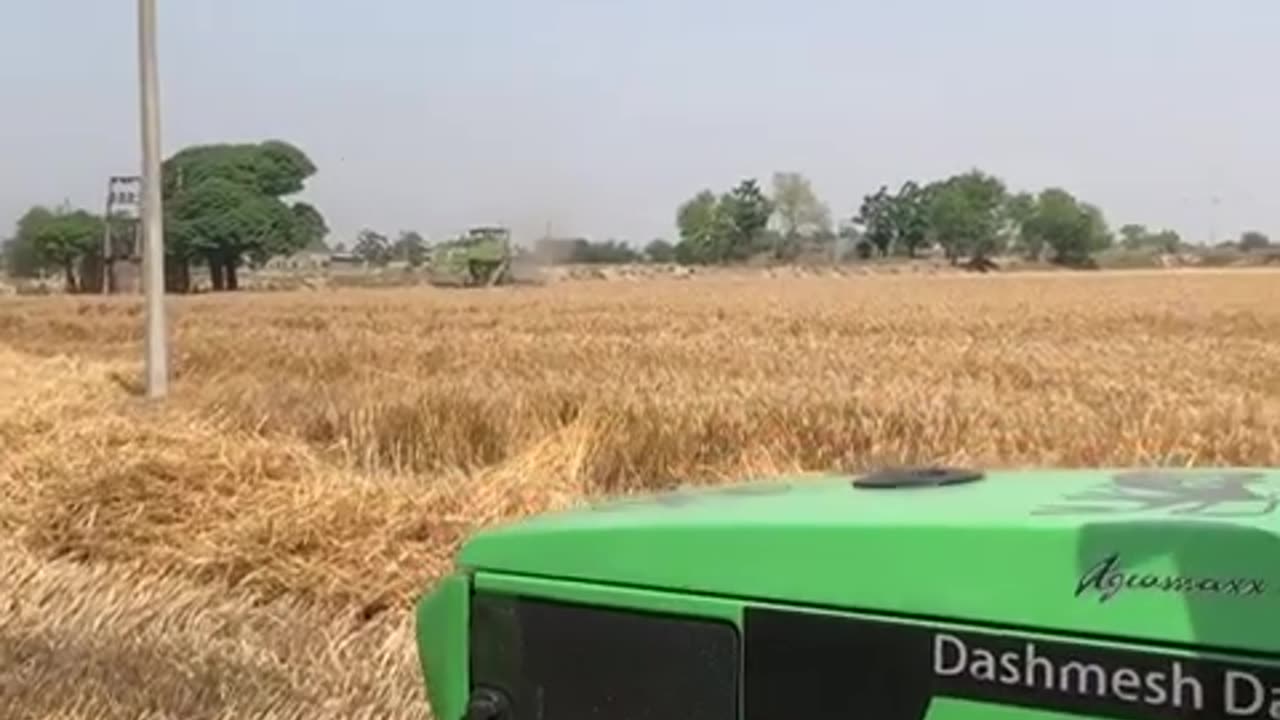 Pakki Kanak