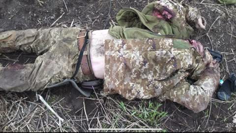 Ukraine is loosing the war badly - Ukrainian soldiers are killed - its a bloody mess - strictly 18+