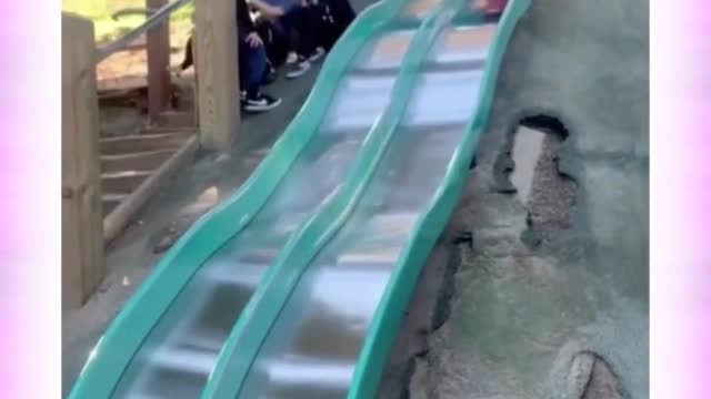 😂🐕 Dog Having Fun on The Slide 🐕😂