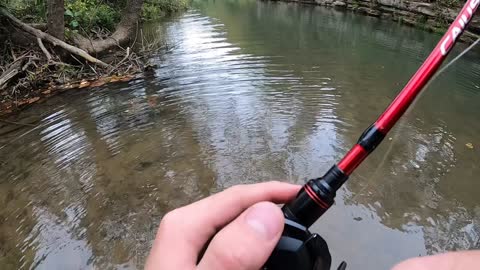 Solid smallmouth caught out of small creek