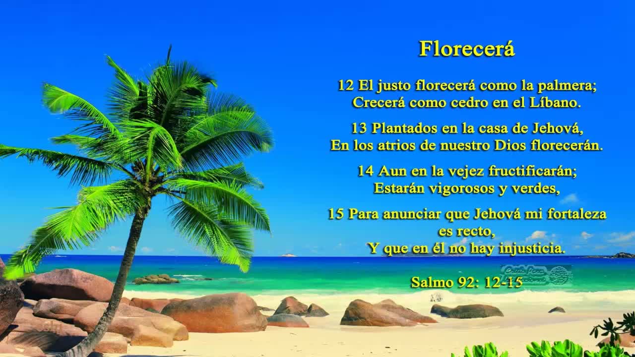 EL JUSTO FLORECERA COMO LA PALMERA Y CRECERA COMO CEDRO EN EL LIBANO