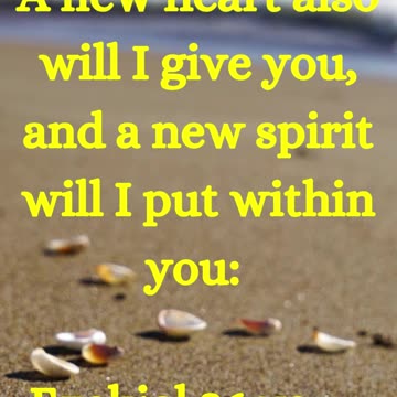 A new heart also will I give you, and a new spirit will I put within you