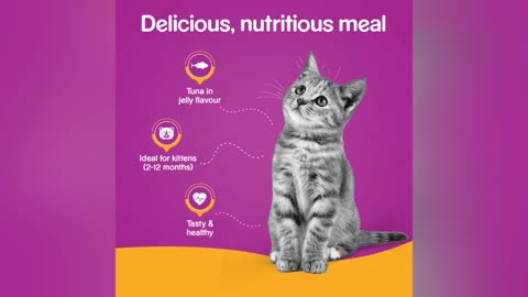 The Most Common Complaints About Eating Manu For Healthy Cat #cats #catstagram