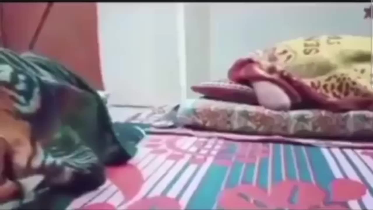 Full video||funny sleep||funny clip