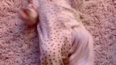 Cute baby dancing😅