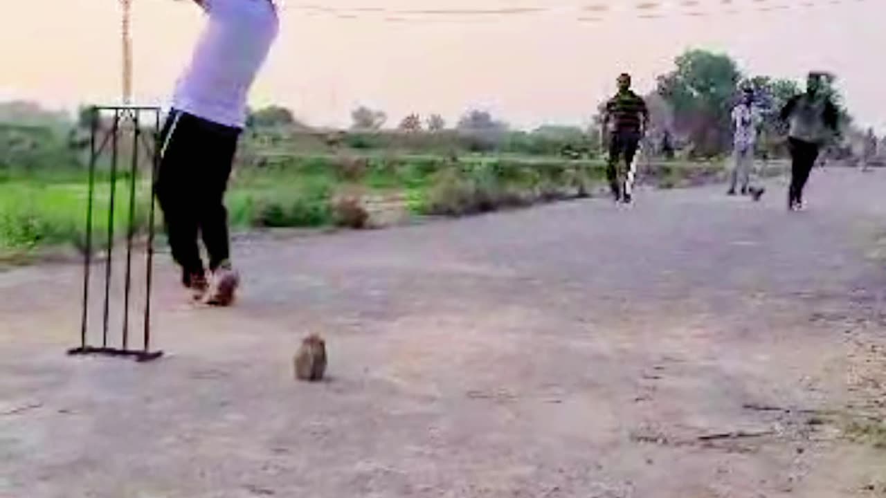 Road Cricket