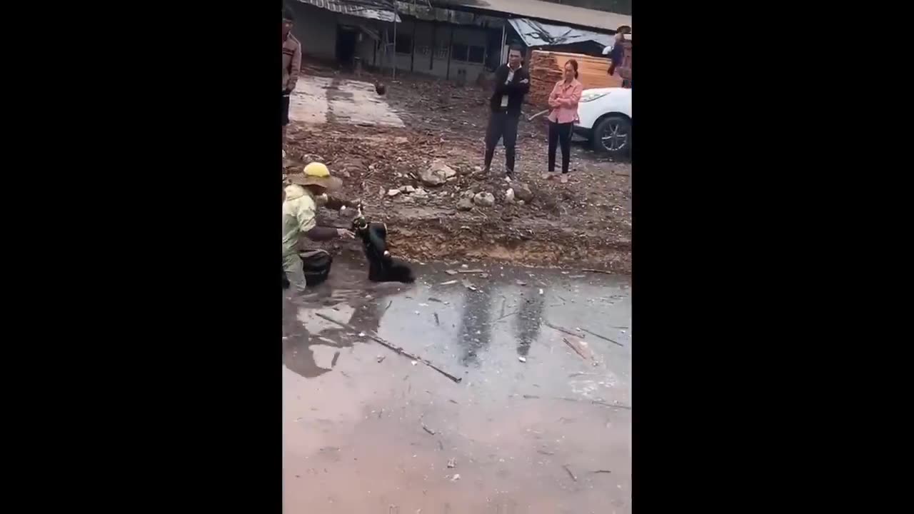 TRY NOT TO LAUGH 😆 Best Funny Videos Compilation 😂😁😆