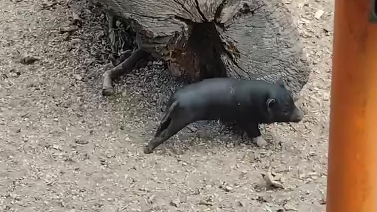 That hits the spot 👍