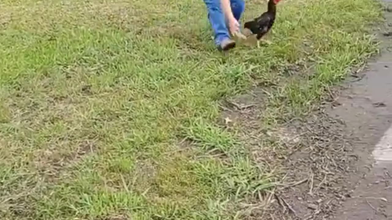 Baby π₯πΌπ₯ sut video