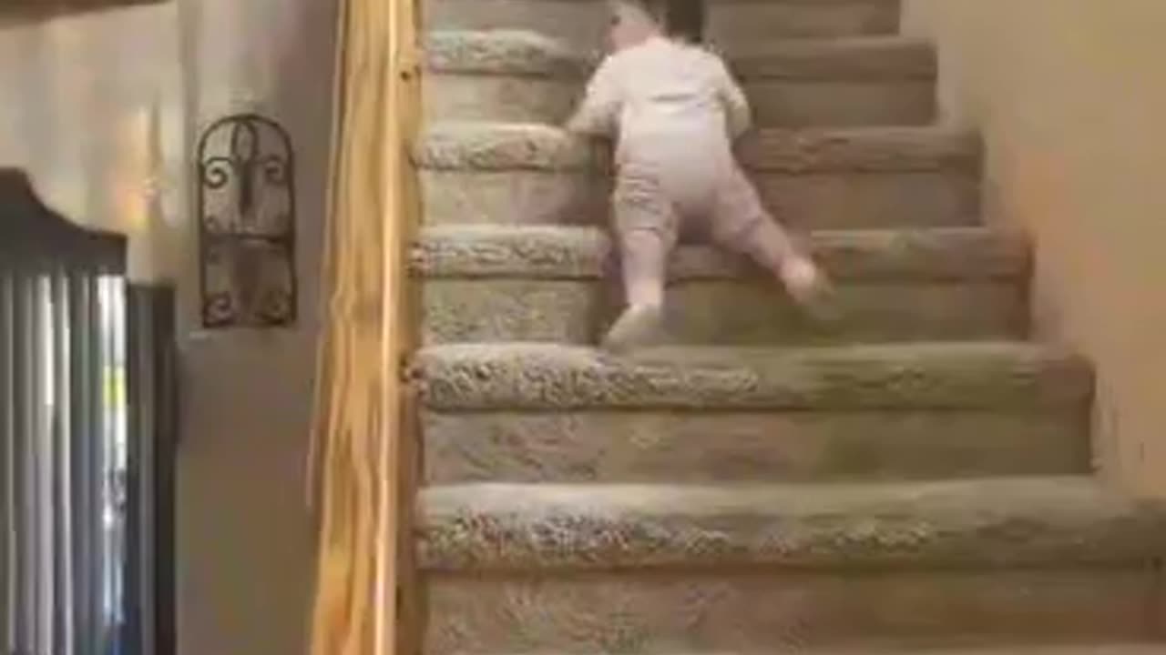 TRY NOT TO LAUGH # FUNNY VIDEOS