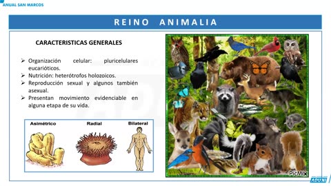 ANUAL ADUNI 2024 | Semana 22 | Biología | Economía | Literatura