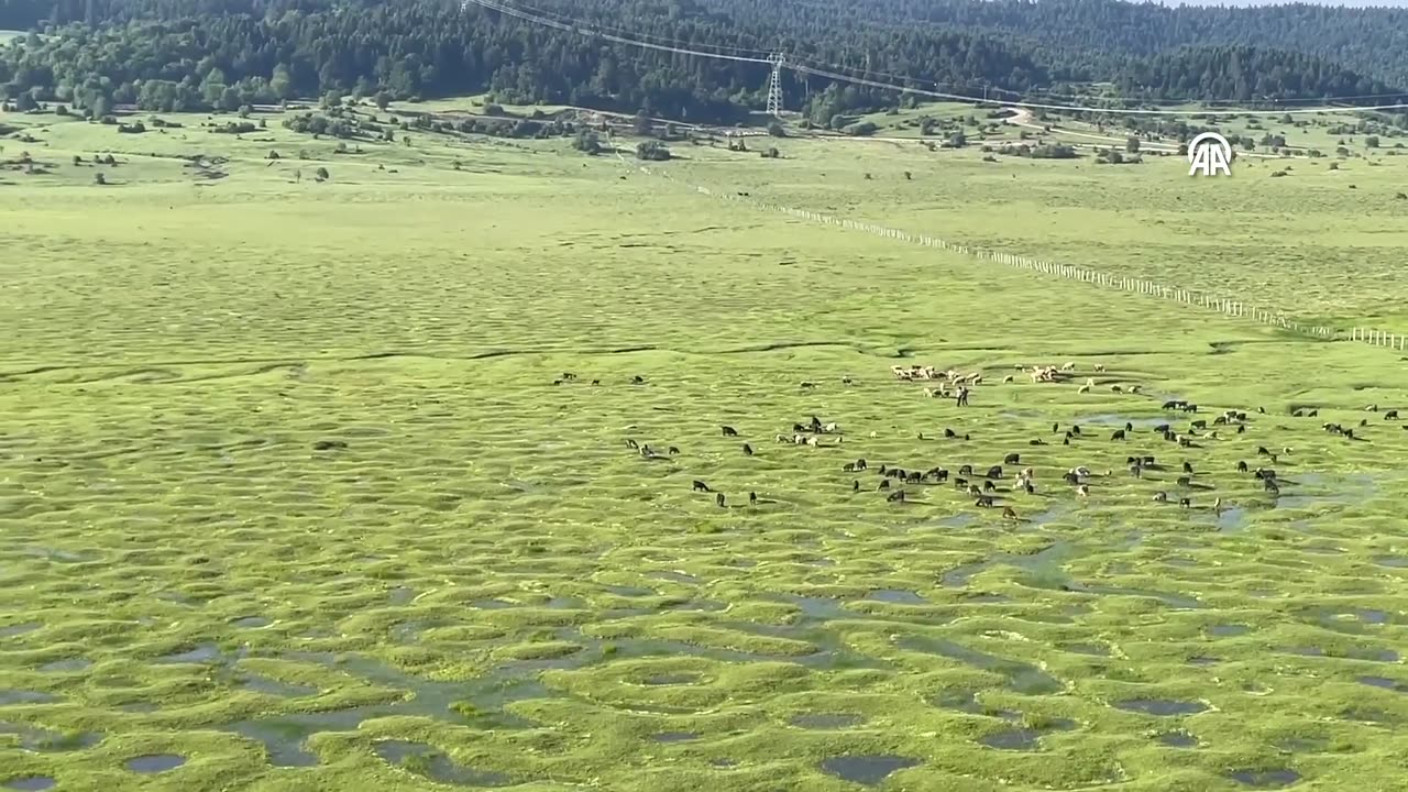 Meanders in Karagöl Plateau filled with water after the recent rainfall